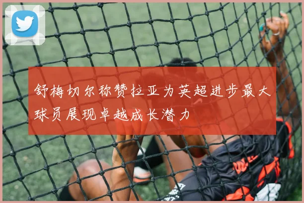 舒梅切尔称赞拉亚为英超进步最大球员展现卓越成长潜力
